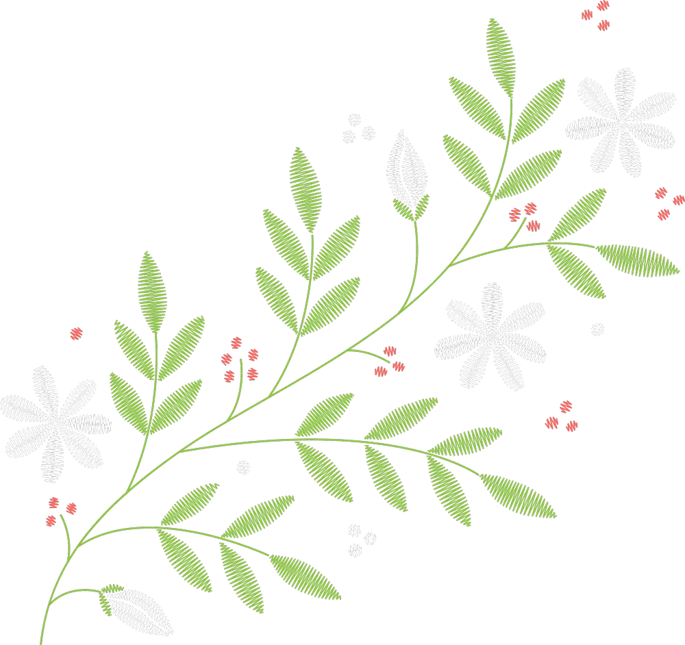 绿叶枝与淡雅雏菊