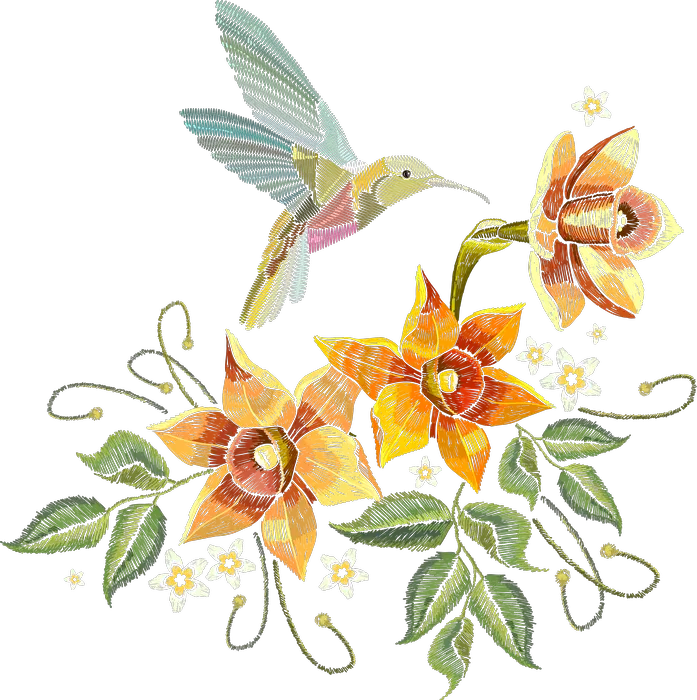 蜂鸟与橙色兰花