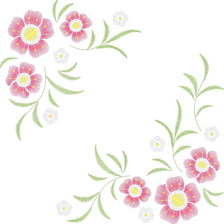 粉花对角双藤