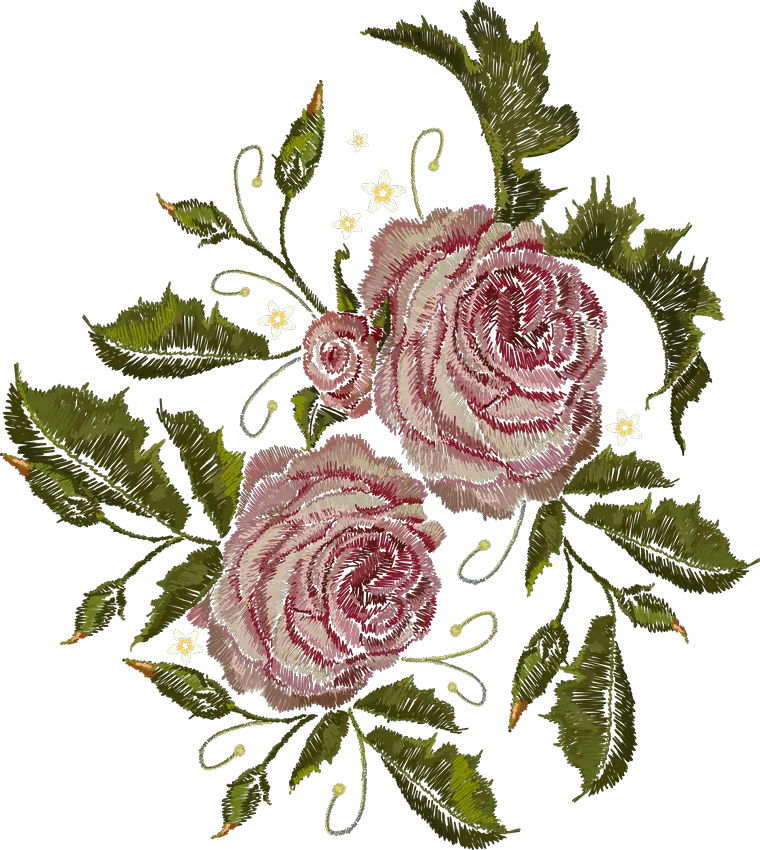 双粉玫瑰配带刺枝叶