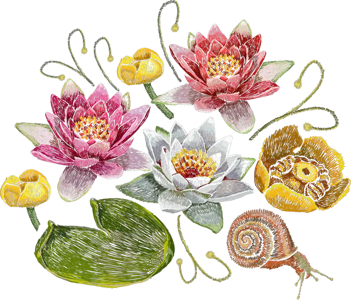 Insects