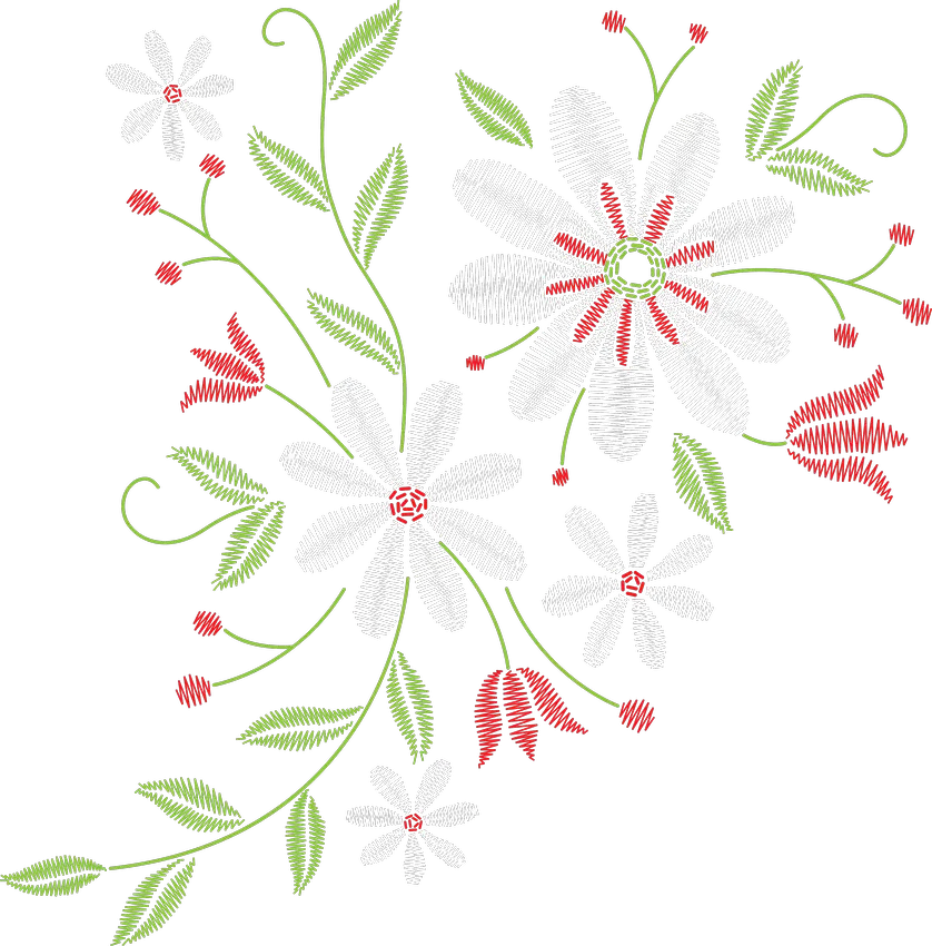 曲蔓白雏菊